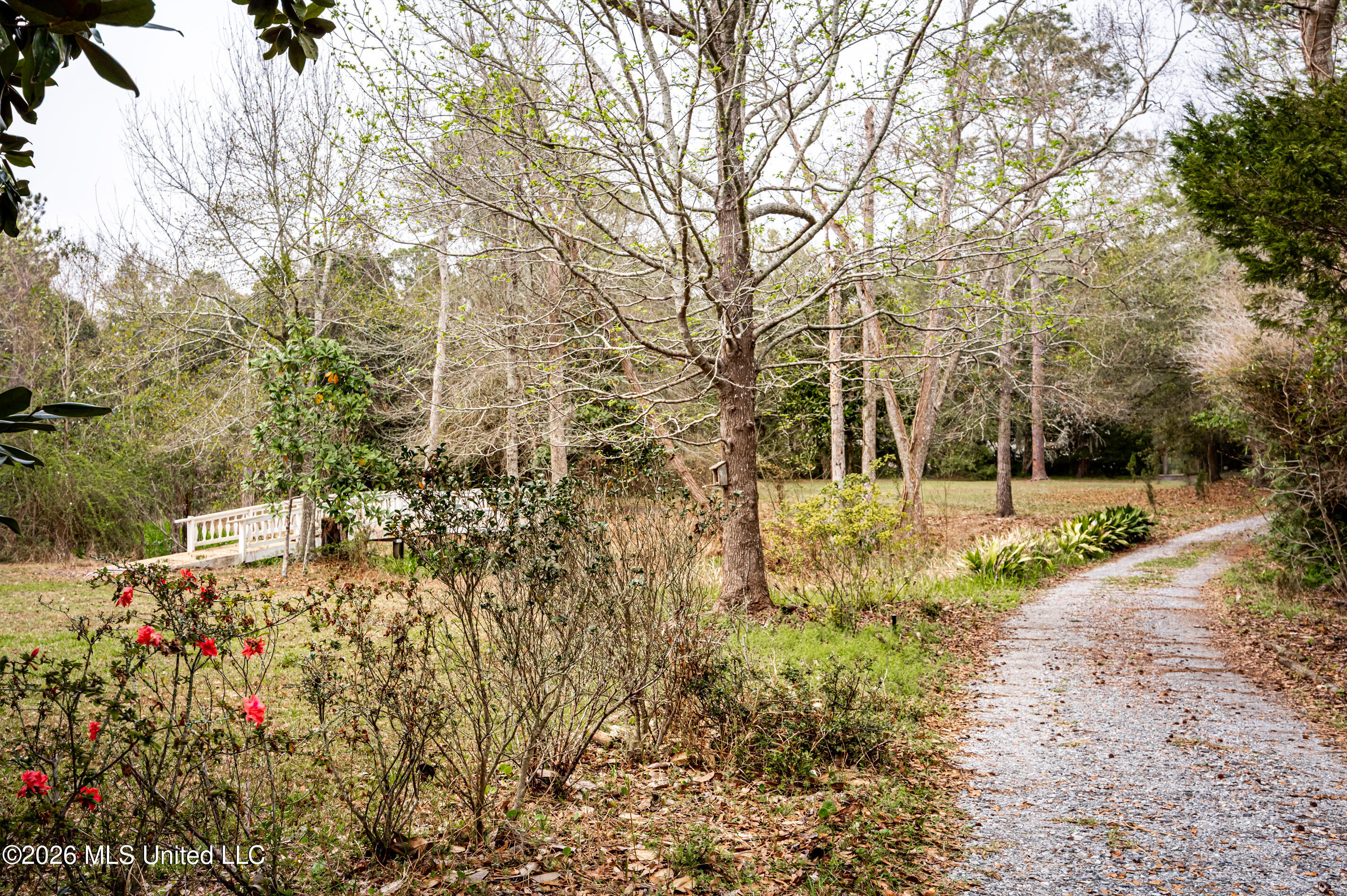 9713 Pointe Aux Chenes Road Ocean Springs, MS 39564 - Photo 69 of 80 IMG_0261