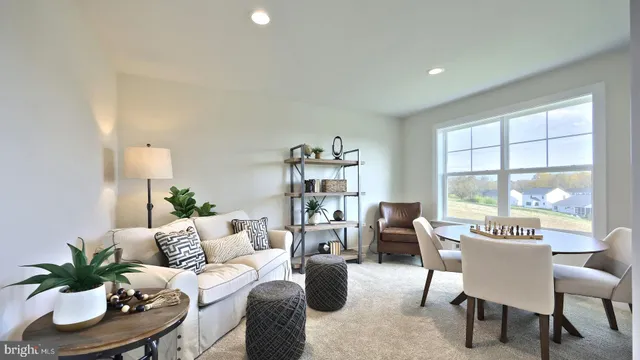 a living room with furniture potted plant and a window