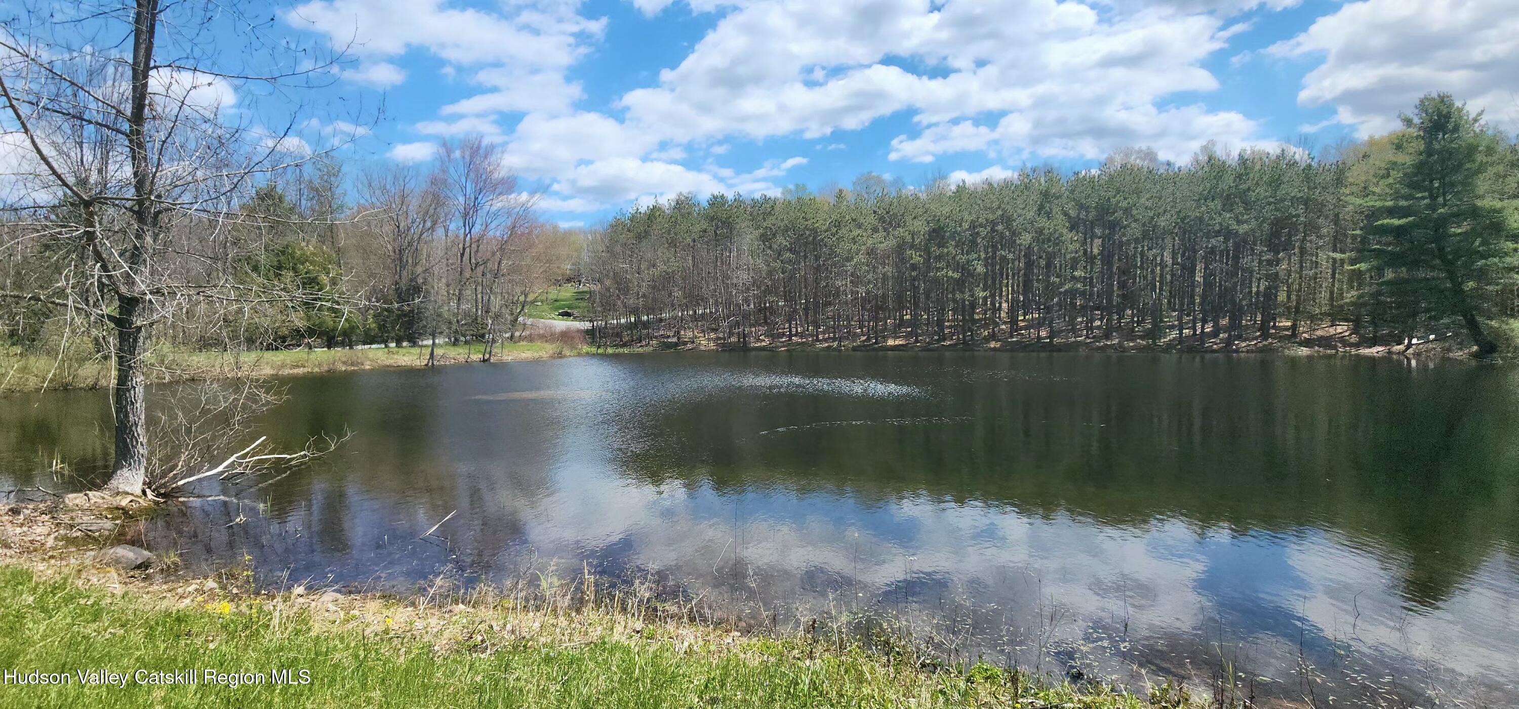 293 Carl Road Jewett, NY 12444 - Photo 2 of 20 a view of lake