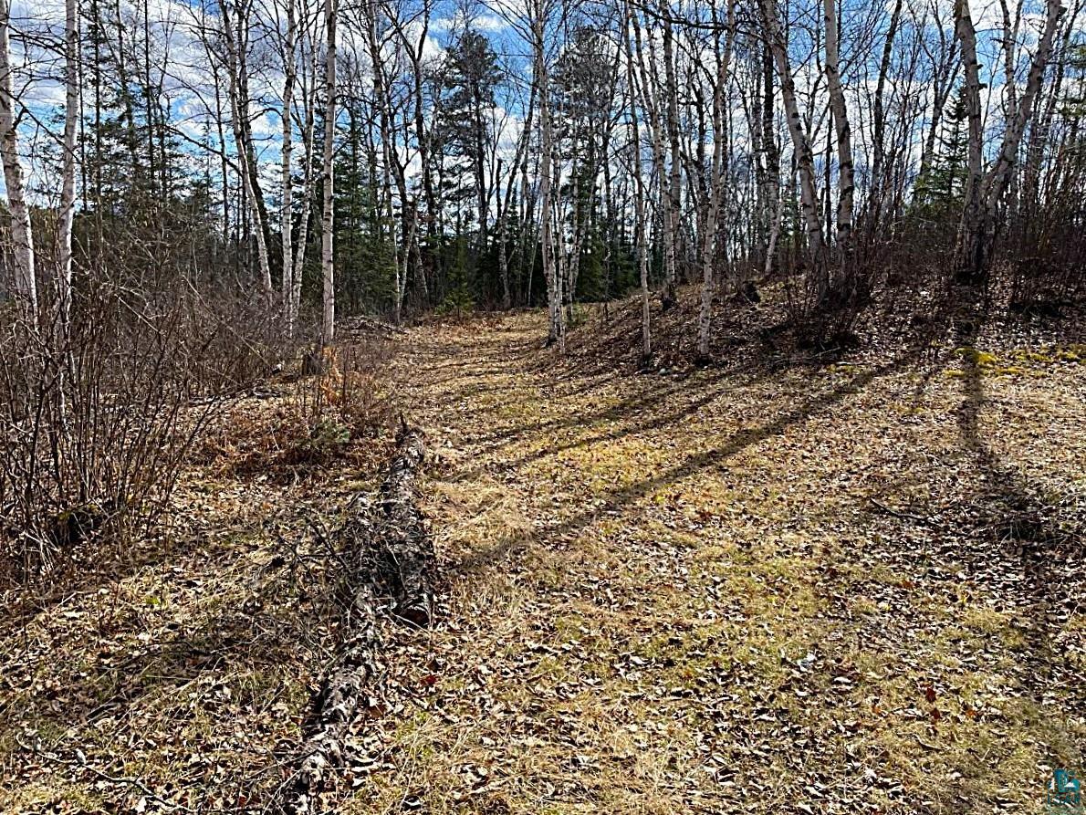 1480 Maijala Road Ely, MN 55731 - Photo 43 of 58 Cut Trails
