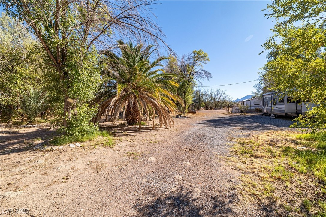 3805 Amargosa Farm Road Amargosa Valley, NV 89020 - Photo 4 of 33