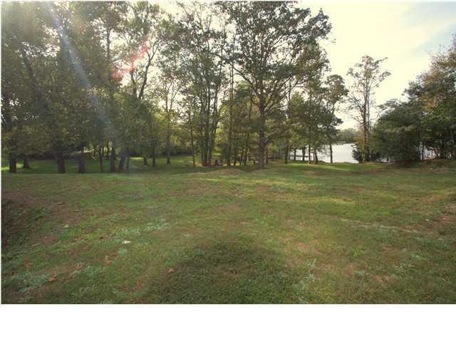 12269 Thatch Road Harrison, TN 37341 - Photo 12 of 13 yard1