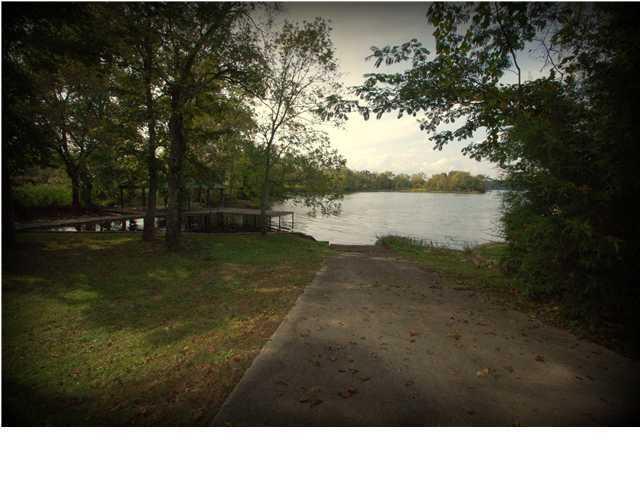 12269 Thatch Road Harrison, TN 37341 - Photo 2 of 13 boat ramp1