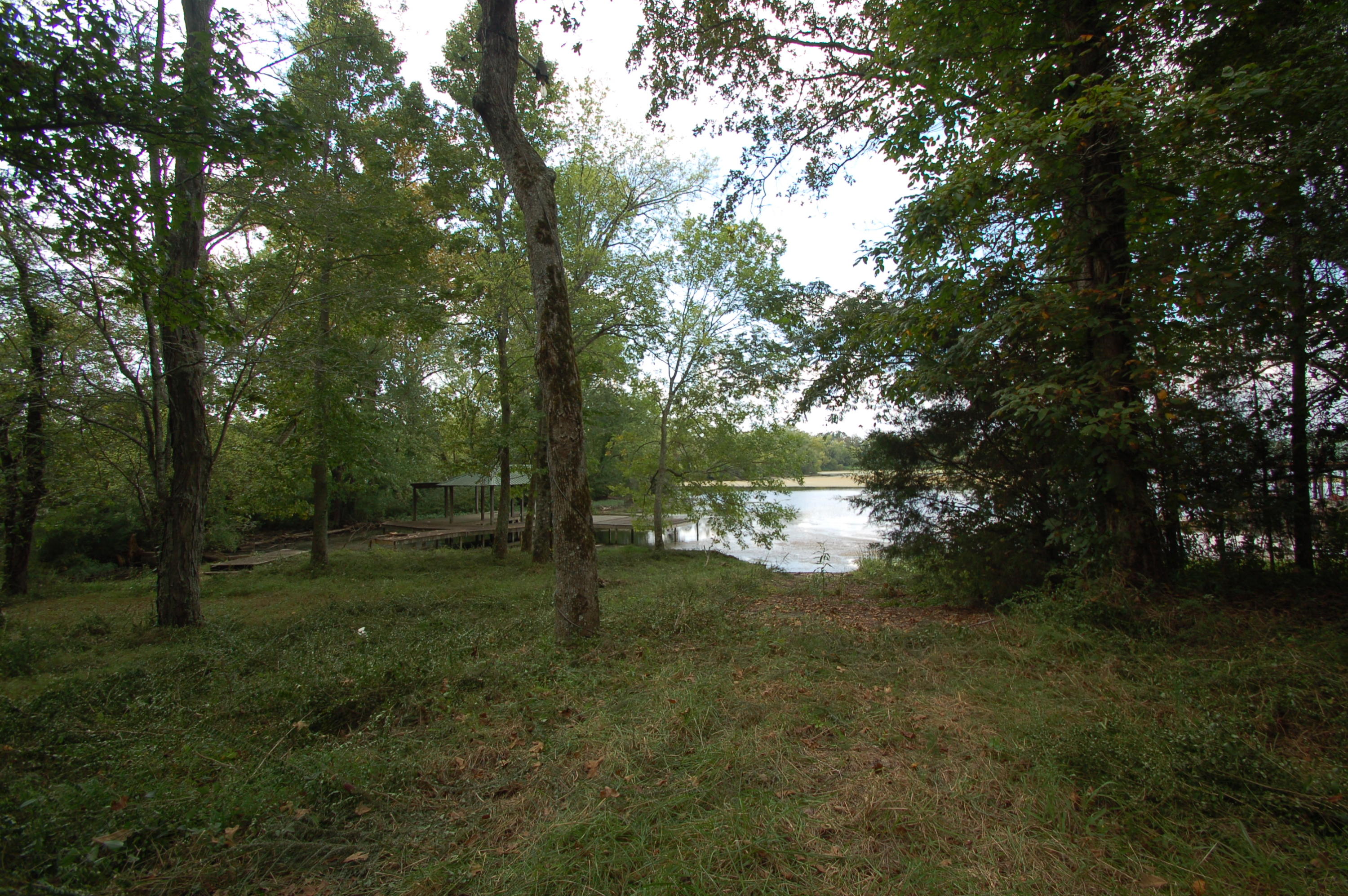 12269 Thatch Road Harrison, TN 37341 - Photo 3 of 13 boatlaunch