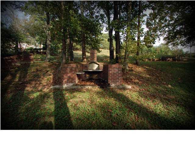12269 Thatch Road Harrison, TN 37341 - Photo 4 of 13 fireplace1