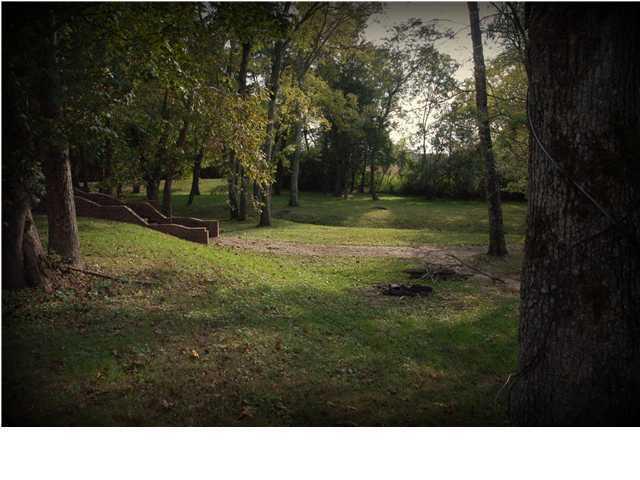 12269 Thatch Road Harrison, TN 37341 - Photo 5 of 13 path1