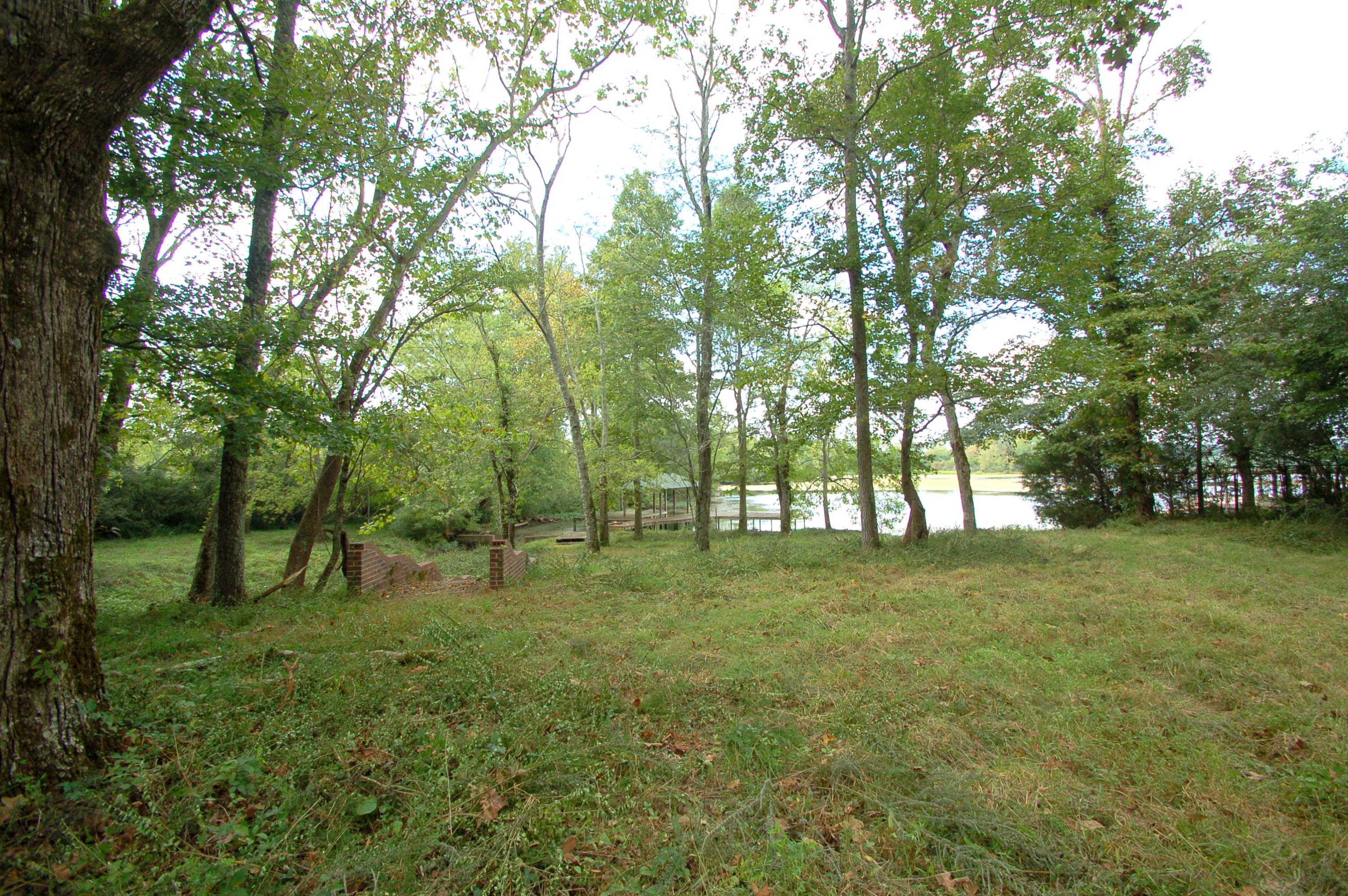12269 Thatch Road Harrison, TN 37341 - Photo 6 of 13 land