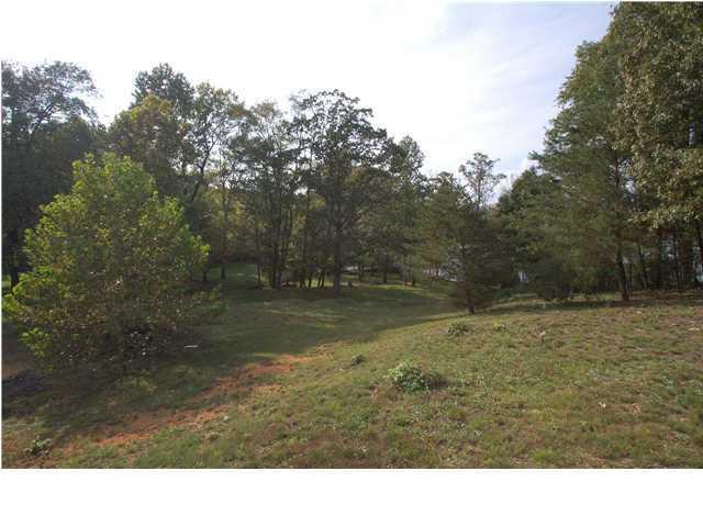 12269 Thatch Road Harrison, TN 37341 - Photo 7 of 13 land1a