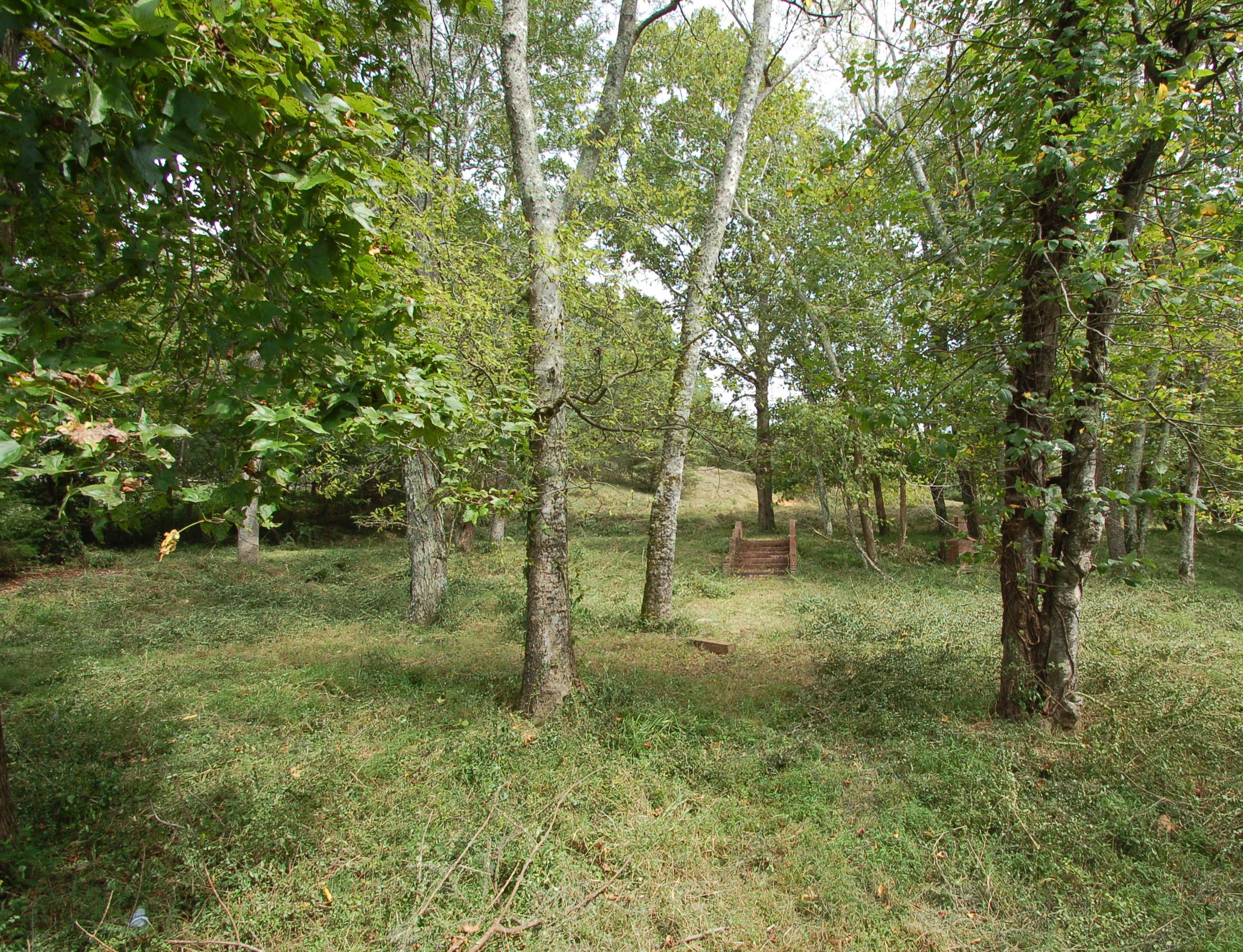 12269 Thatch Road Harrison, TN 37341 - Photo 8 of 13 steps