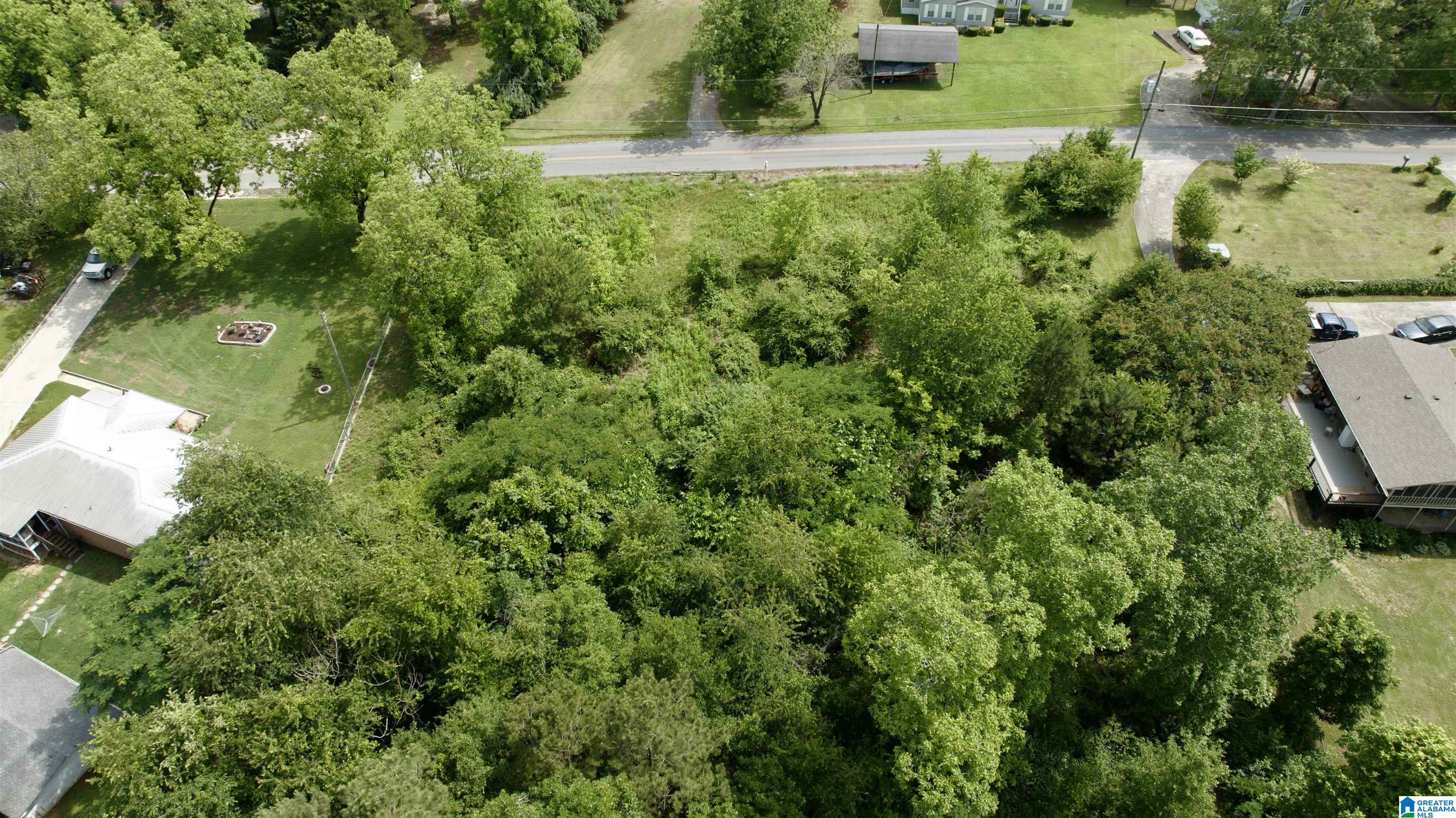 0 Coosa Island Road, Unit 23 AND 24 Cropwell, AL 35054 - Photo 4 of 23