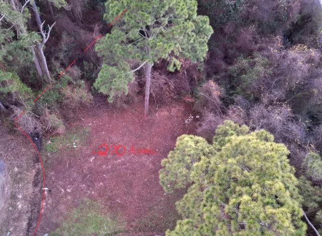 a vase of flowers sitting in middle of green field