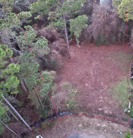 a view of a yard with a lot of plants