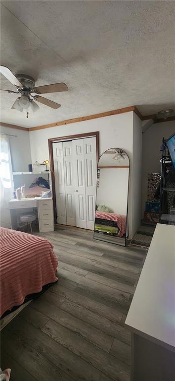 242 Coaltown Road Boyers, PA 16020 - Photo 24 of 36