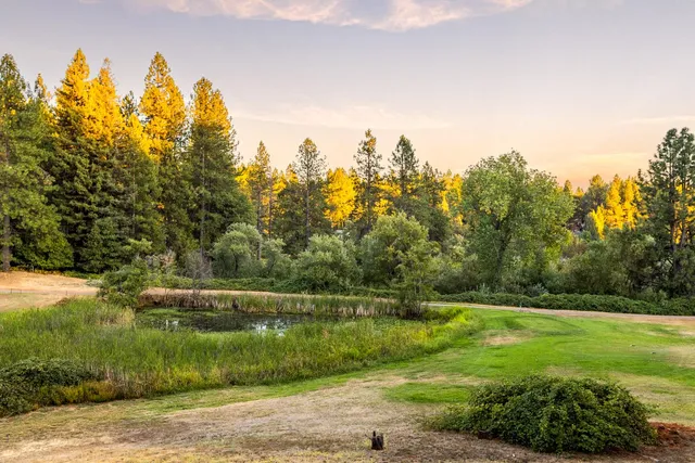 a view of a lake from a yard