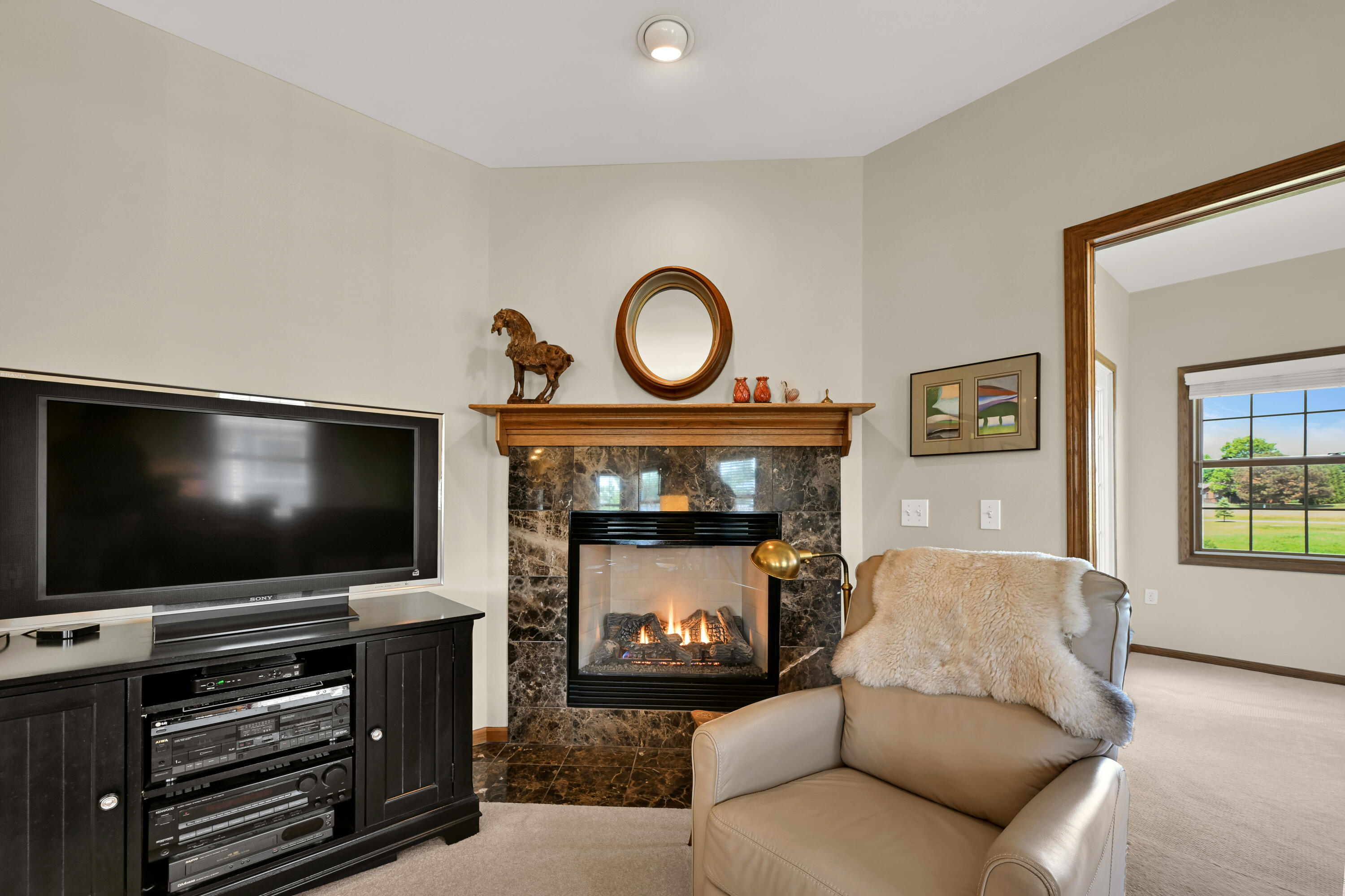 208 Potter Road, Unit 201 Elkhorn, WI 53121 - Photo 16 of 37 Gas Fireplace