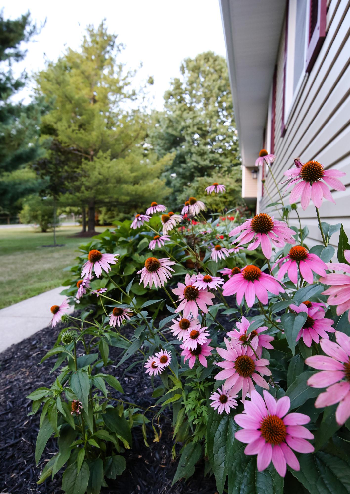 15480 Meredith State Road Sunbury, OH 43074 - Photo 47 of 47 Gallery Image 47