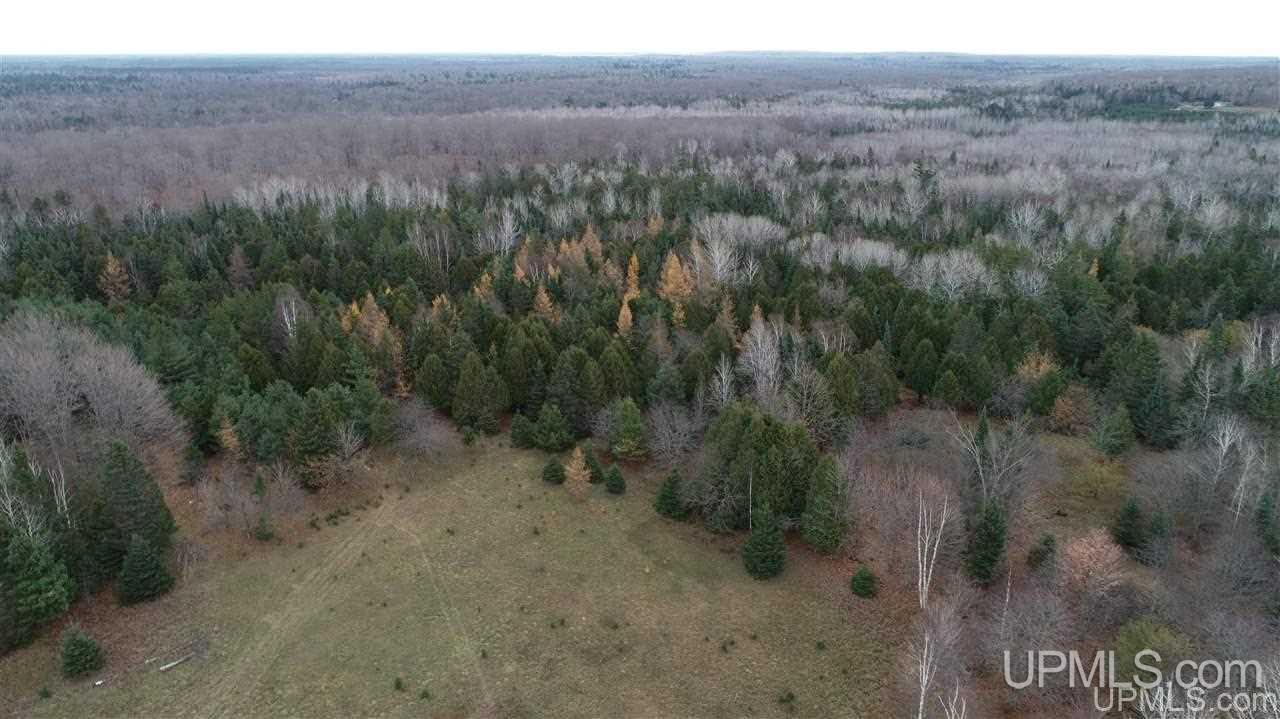 Tbd North Kendall Road Manistique, MI 49854 - Photo 12 of 17 Gallery Image 12