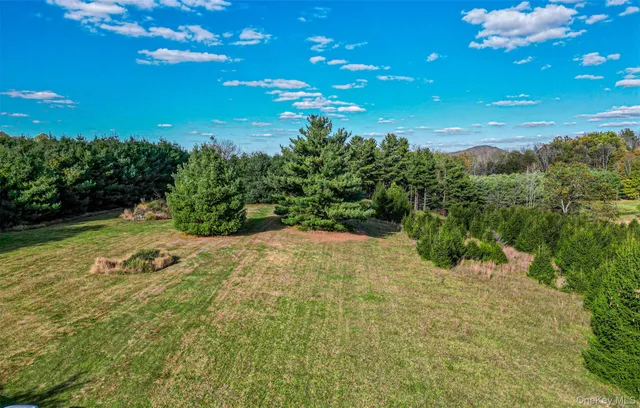 a view of a yard with an tree