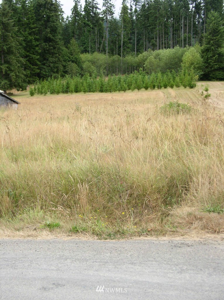 9999 Baker Farm Road Port Angeles, WA 98362 - Photo 9 of 10 Gallery Image 9