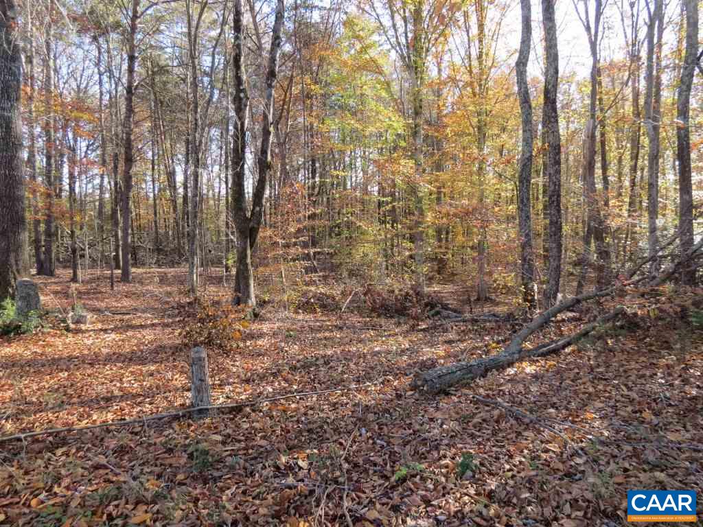 1520 Hunters Lodge Road Troy, VA 22974 - Photo 7 of 10 Gallery Image 7