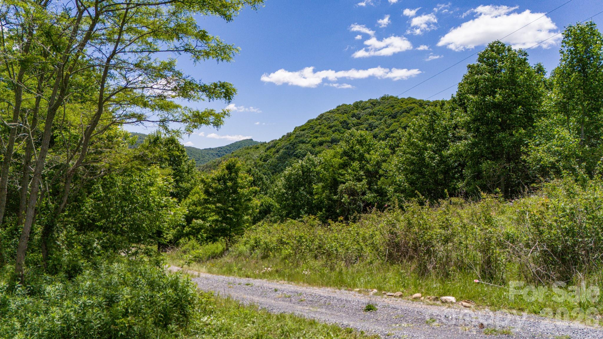 2 Turkey Trot Road Clyde, NC 28721 - Photo 17 of 48