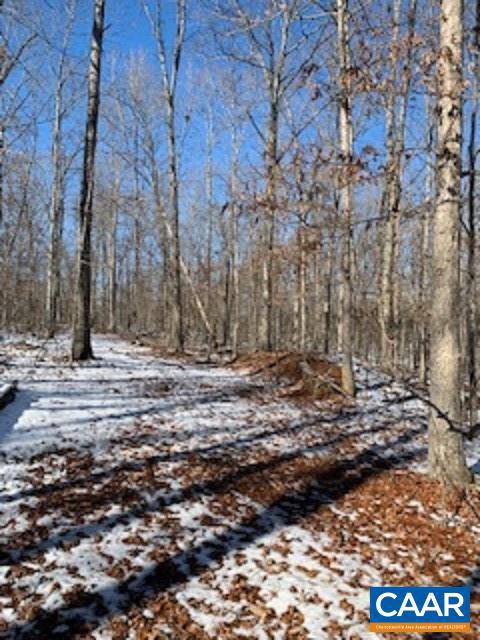Hill Road, Unit 10 & 11 Gordonsville, VA 22942 - Photo 2 of 2