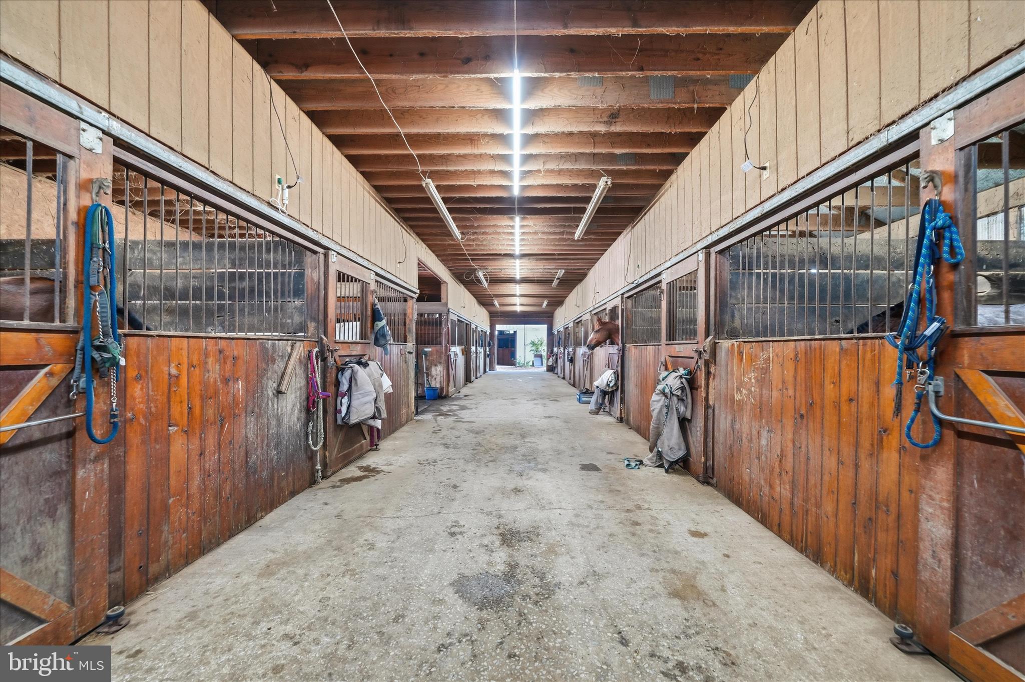 20800 Whites Ferry Road Poolesville, MD 20837 - Photo 16 of 94 Aisle Barn 2