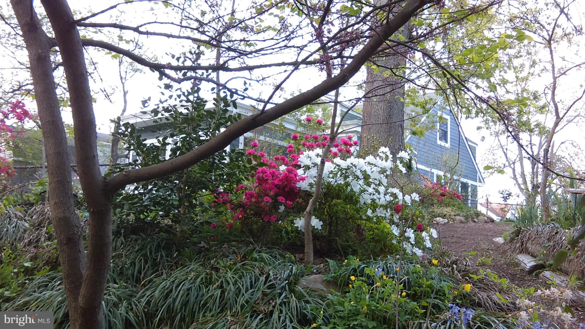 6913 Quander Road Alexandria, VA 22307 - Photo 27 of 30 Exterior (General)