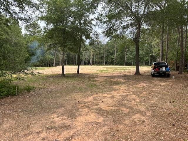 28171 Joseph Road Hockley, TX 77447 - Photo 8 of 27 Gallery Image 8
