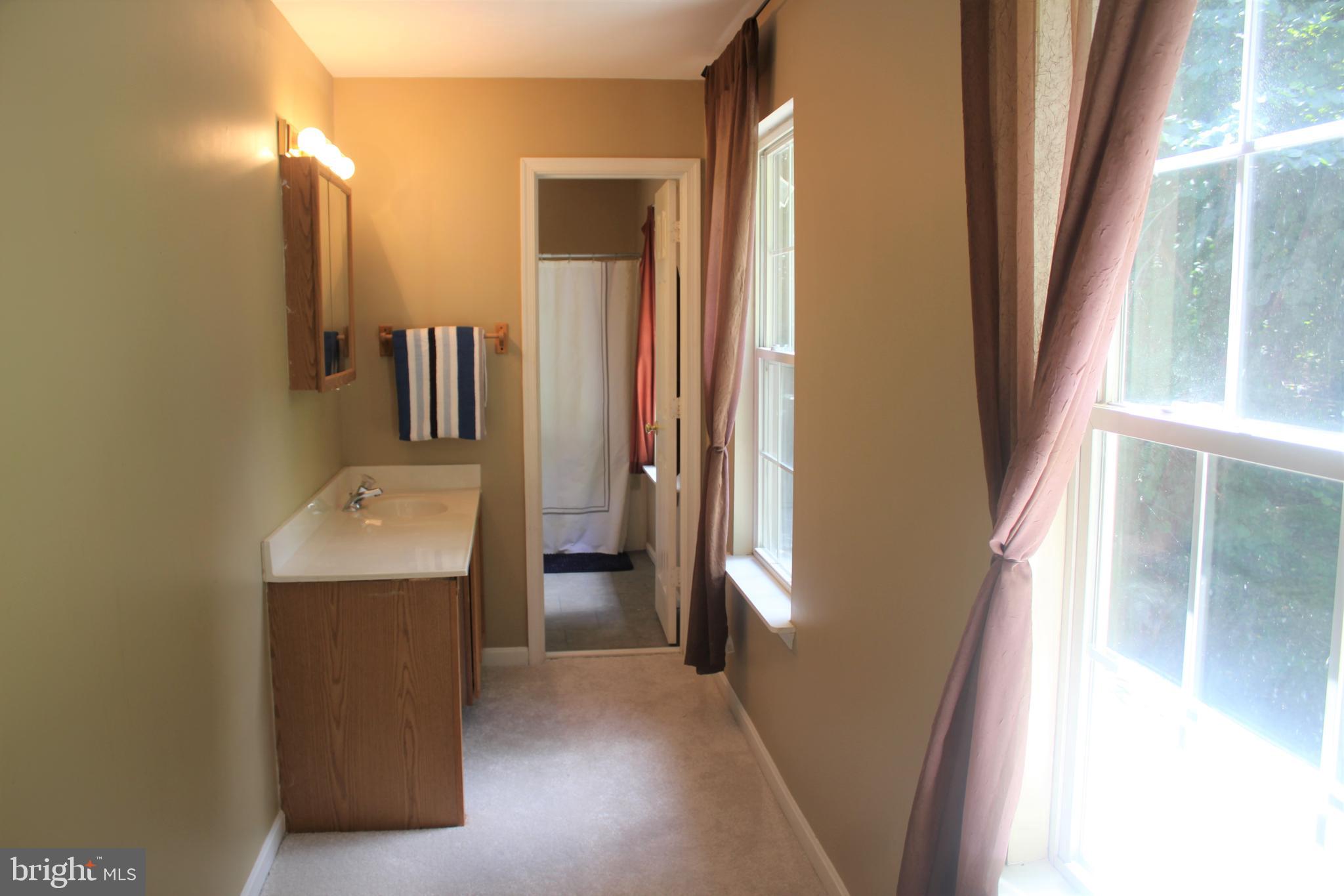 112 Remount View Road Front Royal, VA 22630 - Photo 24 of 50 Master Bathroom