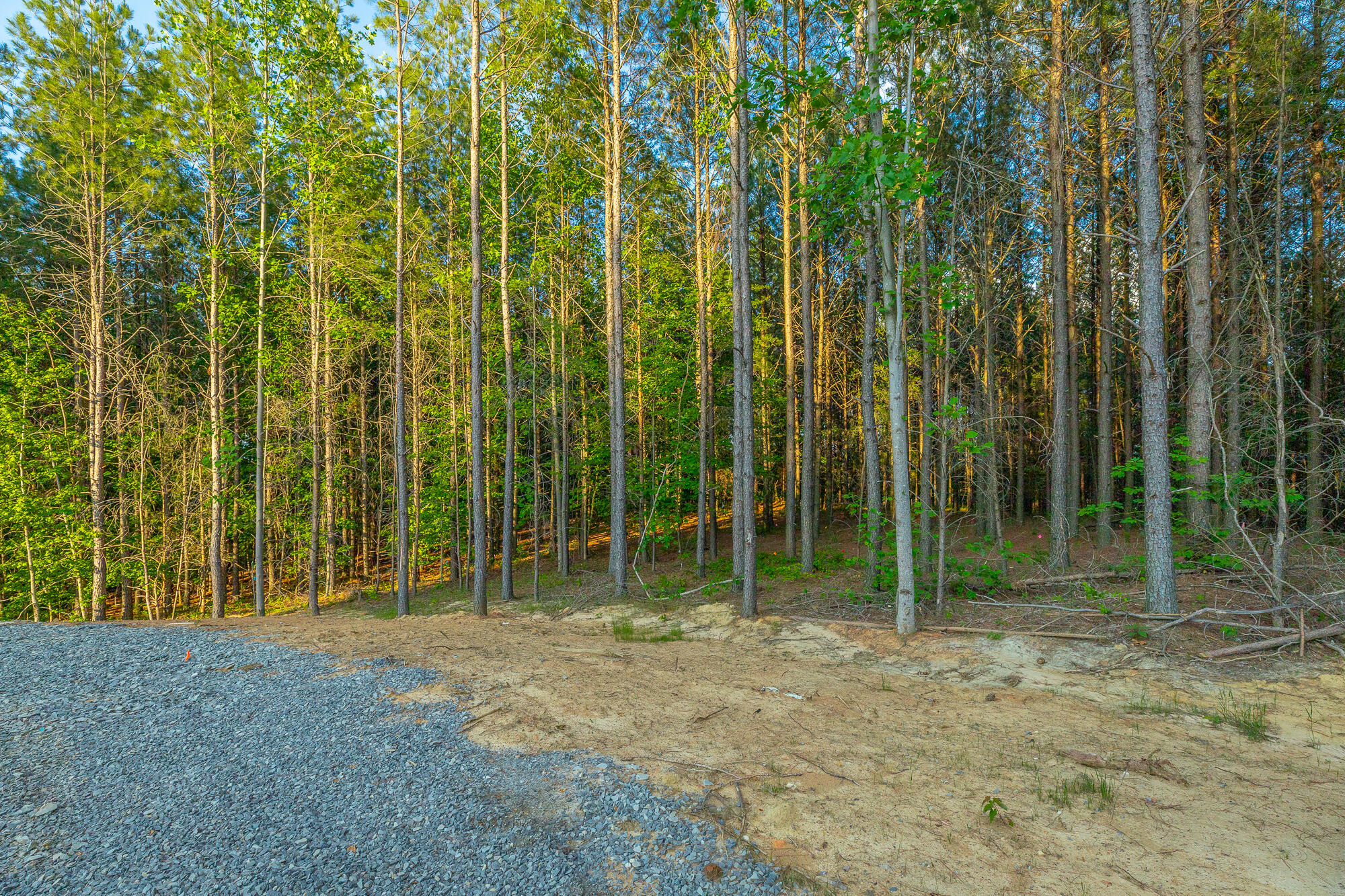 0 Back Basin Trail, Unit LOT 1244 Chattanooga, TN 37419 - Photo 46 of 119 0 Back Basin Trail - Lot 1244 HD-48