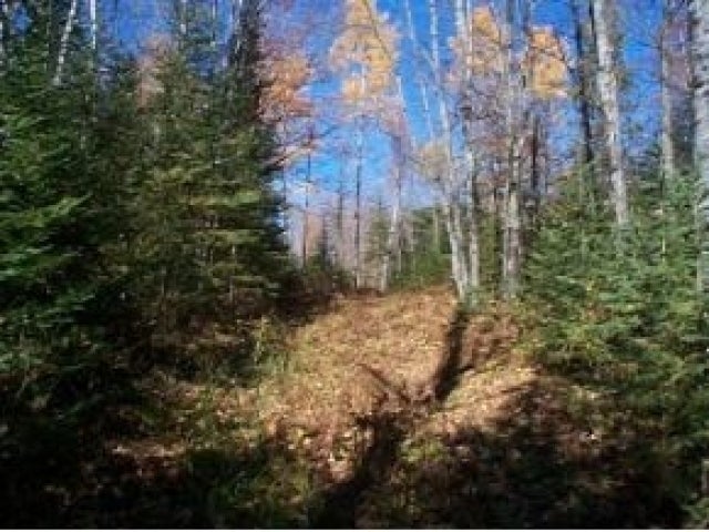 Lot 30 Nathan Pass Mercer, WI 54547 - Photo 1 of 6 Gallery Image 1