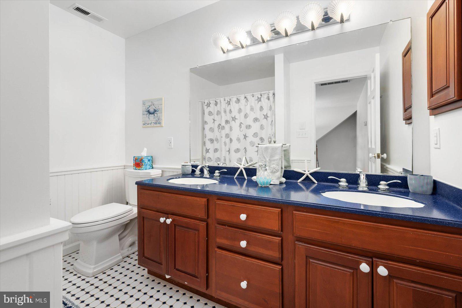 4404 Island View Road Snow Hill, MD 21863 - Photo 51 of 96 Guest bath