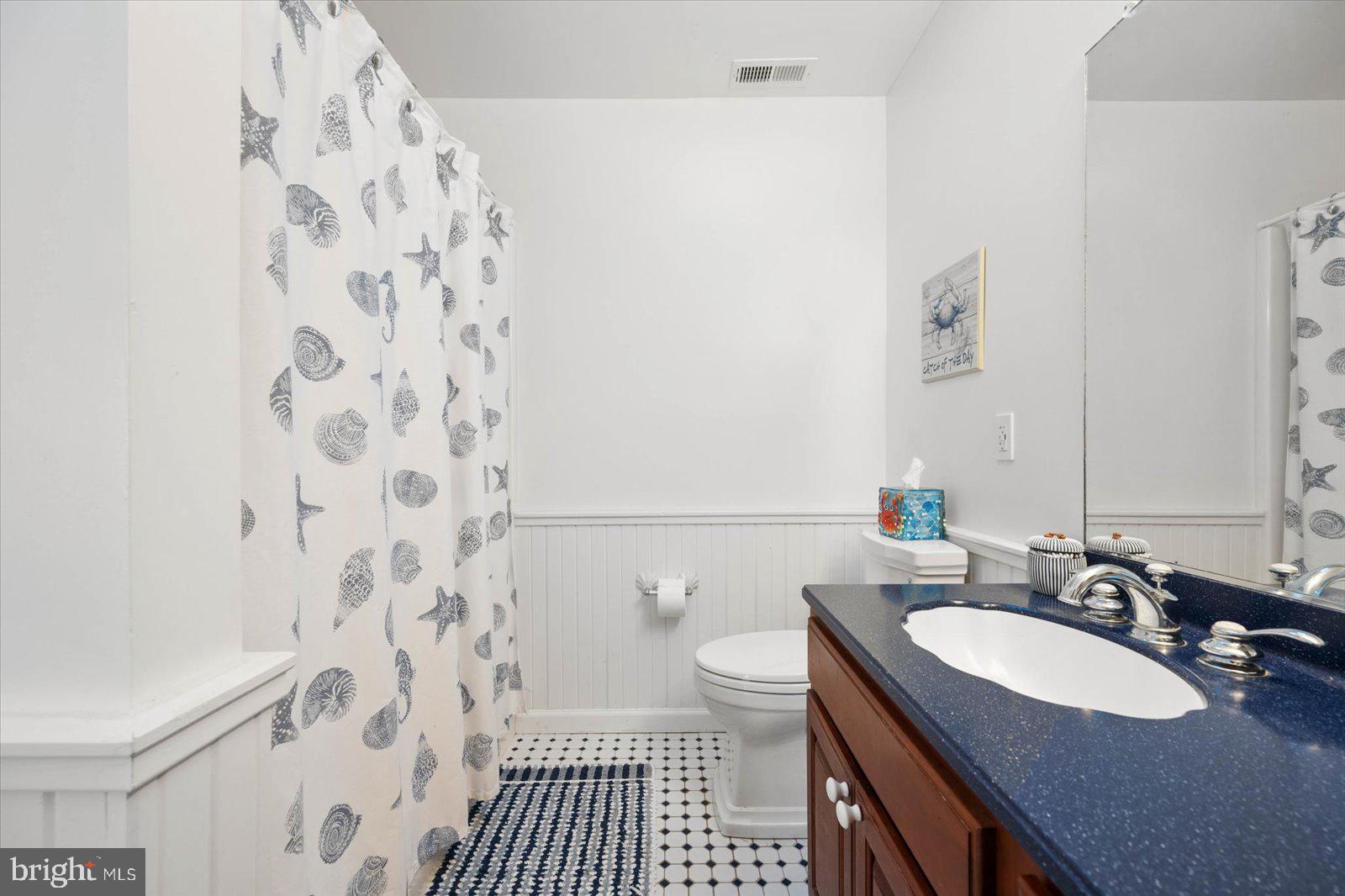 4404 Island View Road Snow Hill, MD 21863 - Photo 52 of 96 Guest bath