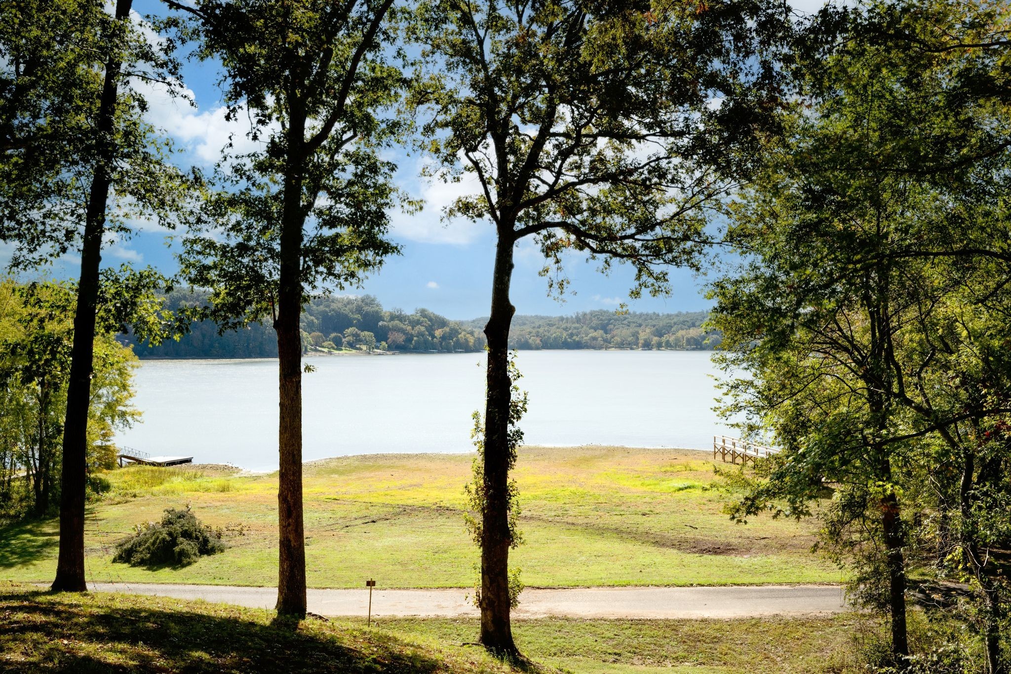 90 Bluff Point Lane Waverly, TN 37185 - Photo 44 of 60 a view of ocean from a tree