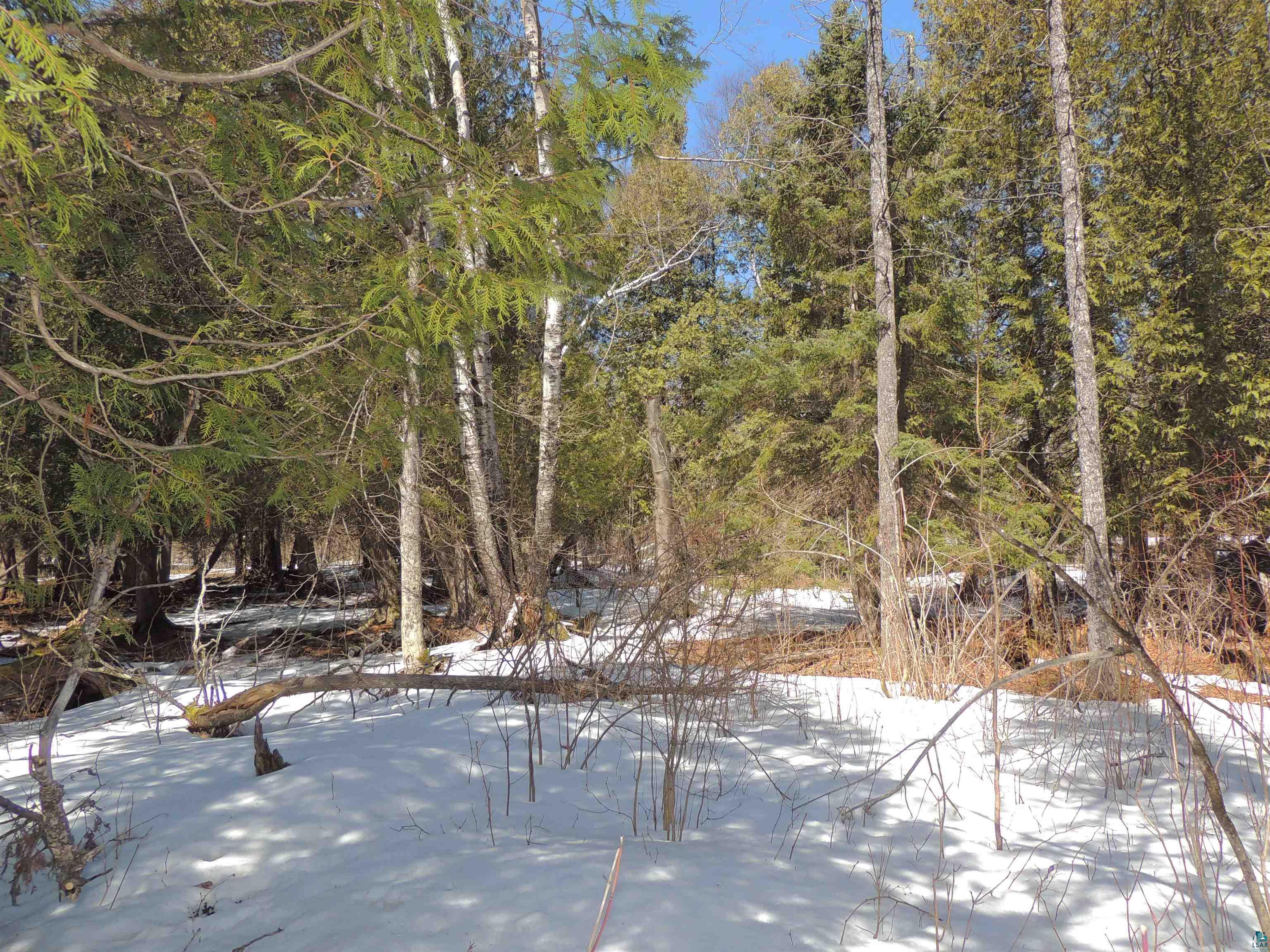X30 Isak Ridge Lutsen, MN 55612 - Photo 24 of 28