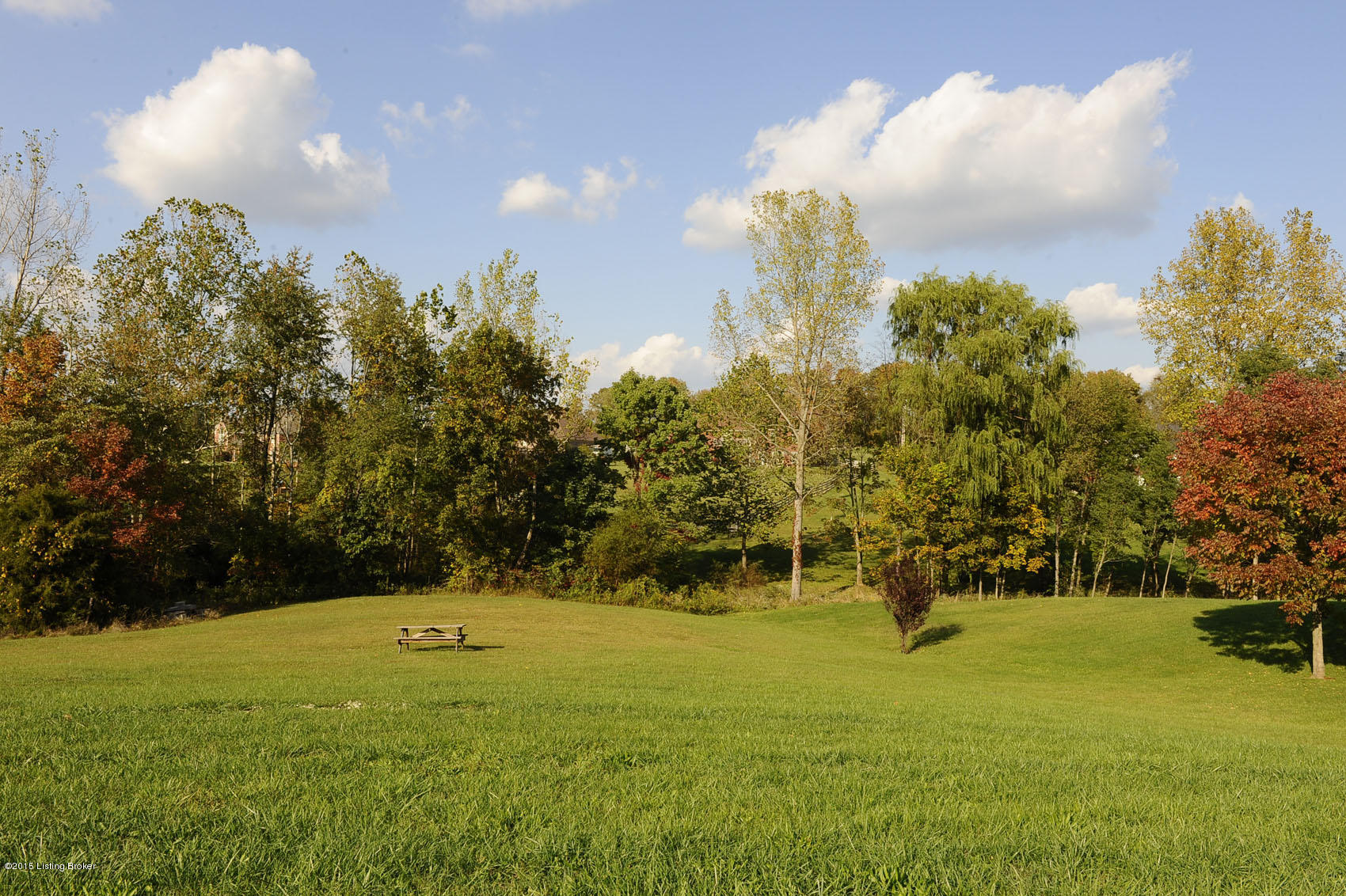 123 Silverview Road Smithfield, KY 40068 - Photo 27 of 31 land view.jpg