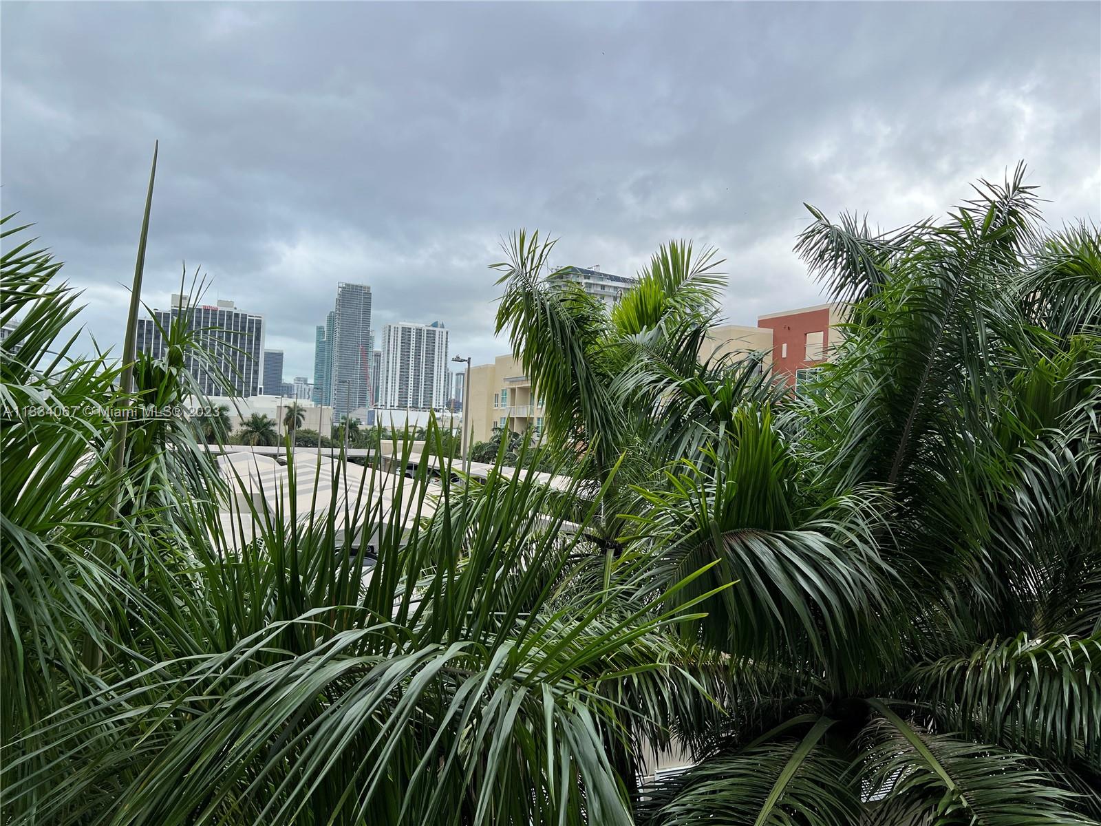 2001 Biscayne Boulevard, Unit 2503 Miami, FL 33137 - Photo 14 of 22 a view of a plant in a garden