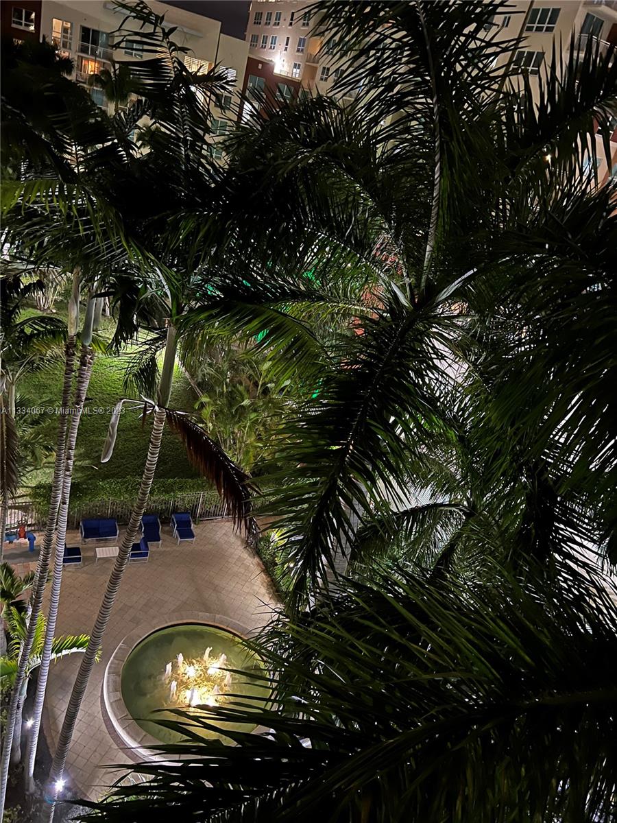 2001 Biscayne Boulevard, Unit 2503 Miami, FL 33137 - Photo 16 of 22 a view of a backyard of a house