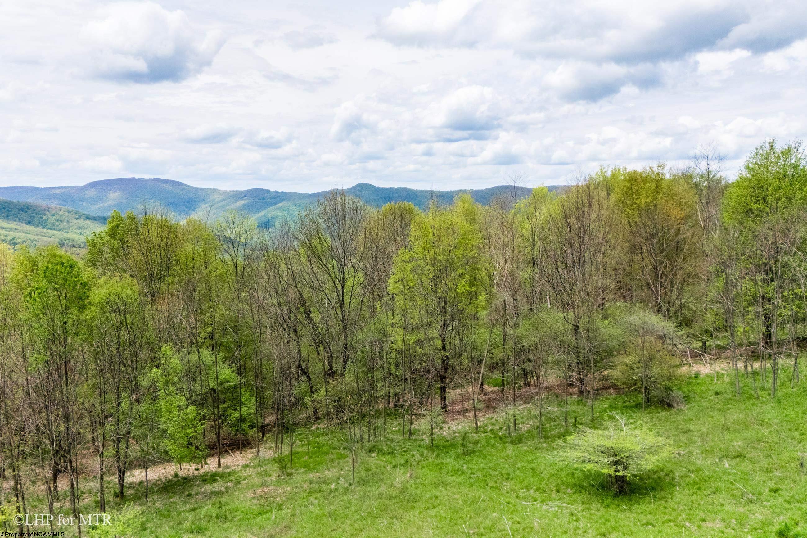 28 Meadows Road West Harman, WV 26270 - Photo 16 of 36 Gallery Image 16
