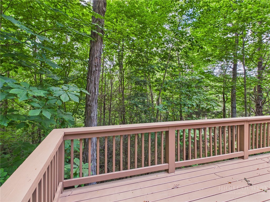 442 Timberlane Drive Boone, NC 28607 - Photo 29 of 31