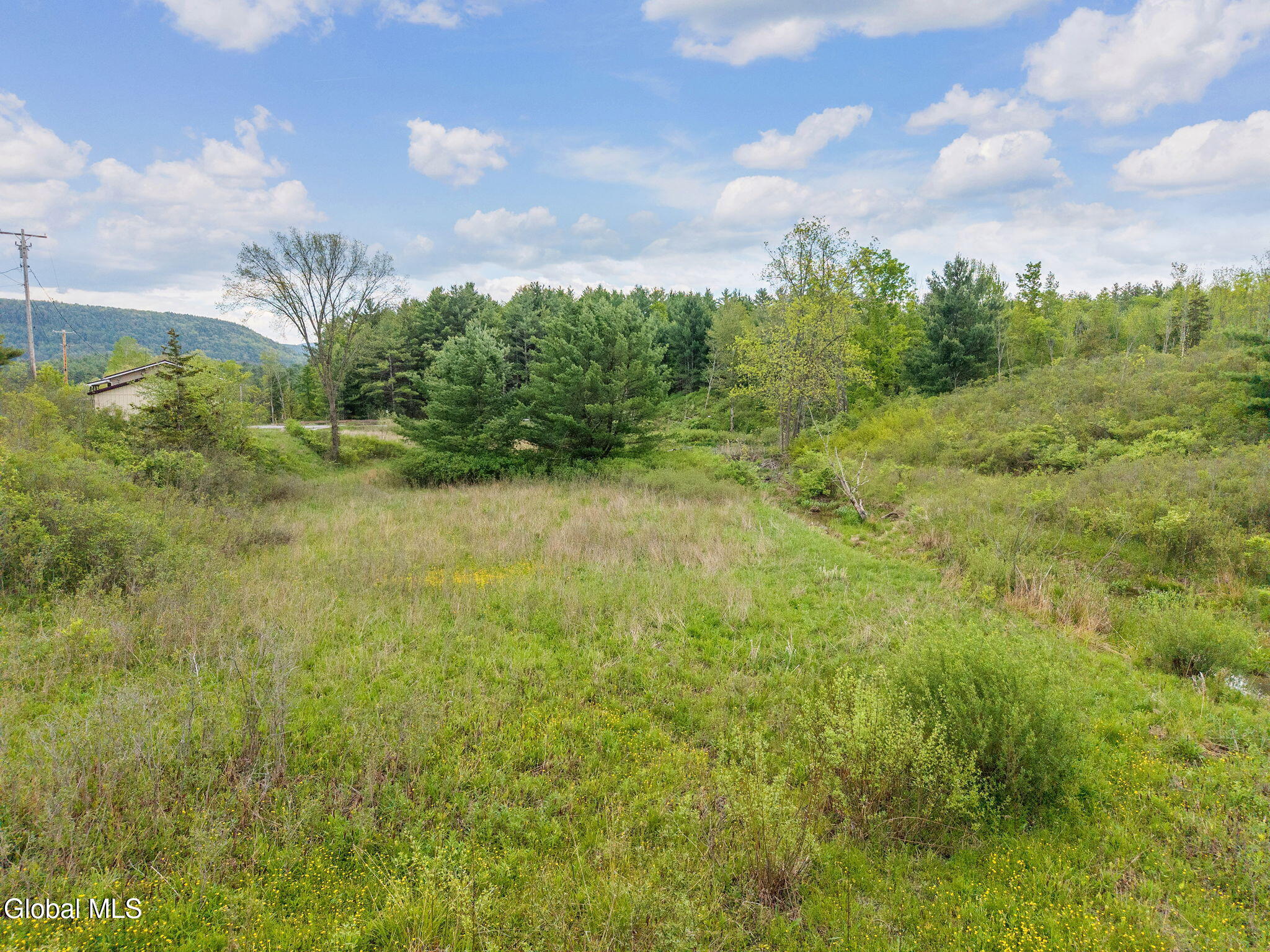 1432 Shew Hollow Road Gilboa, NY 12076 - Photo 42 of 55 47-1432ShewHollowRd_47