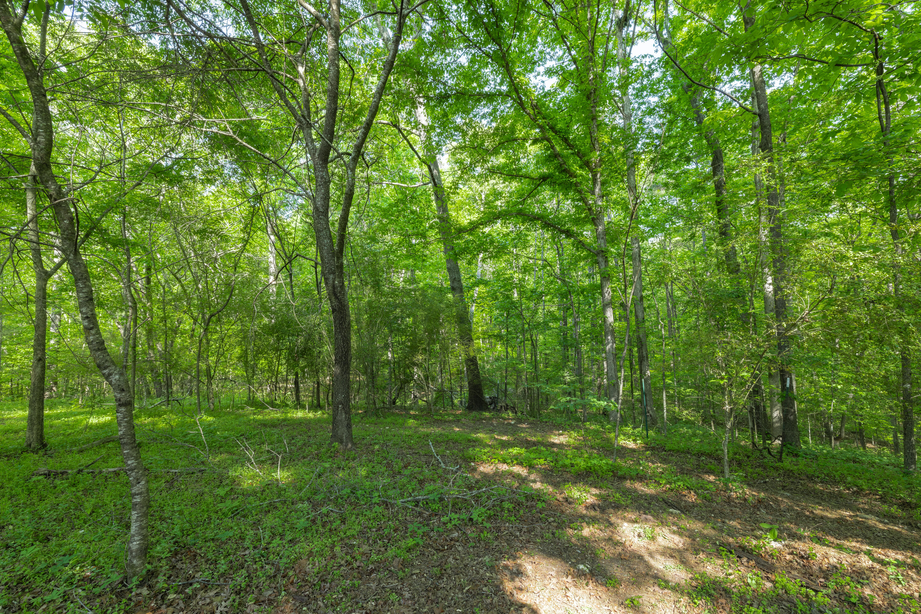 573 Ross Hollow Road Ringgold, GA 30736 - Photo 85 of 94 573RossHollowRoad(31of94)