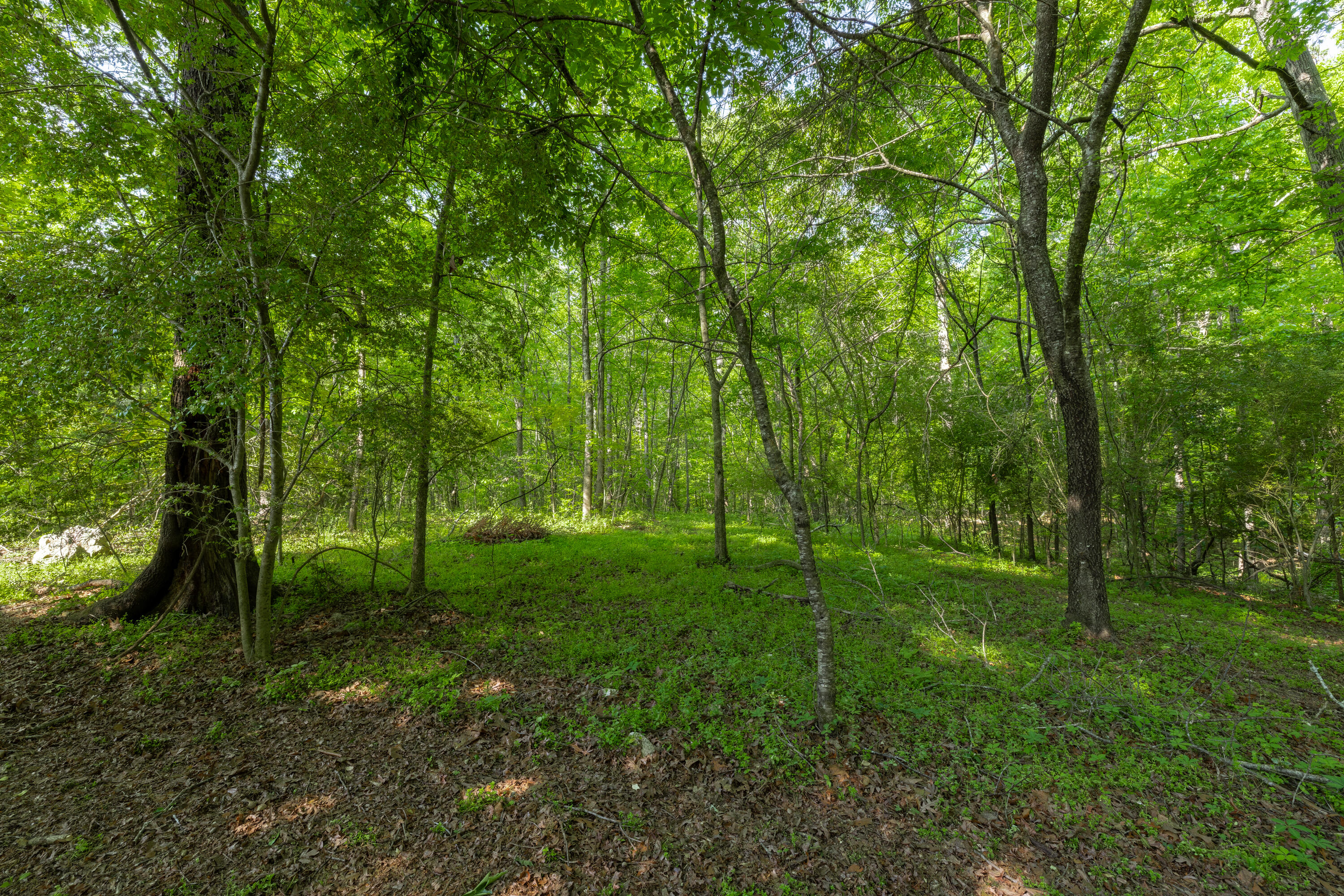 573 Ross Hollow Road Ringgold, GA 30736 - Photo 86 of 94 573RossHollowRoad(32of94)