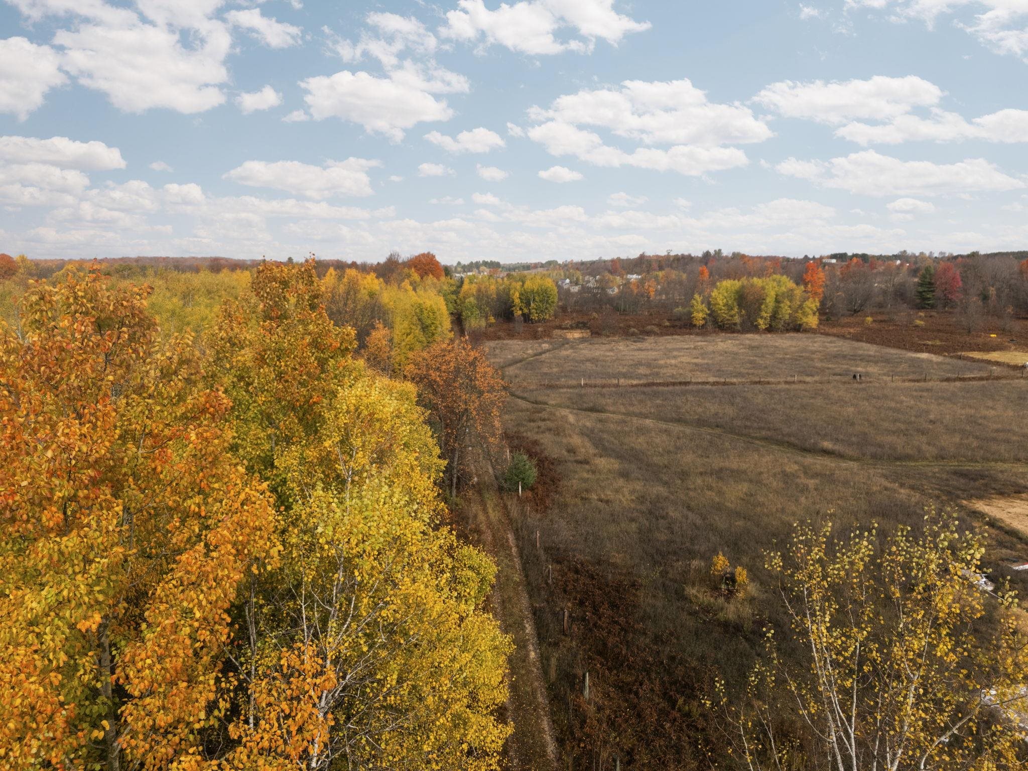 3976 Irvin Road Kingsley, MI 49649 - Photo 55 of 68