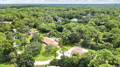 a view of a park with large trees