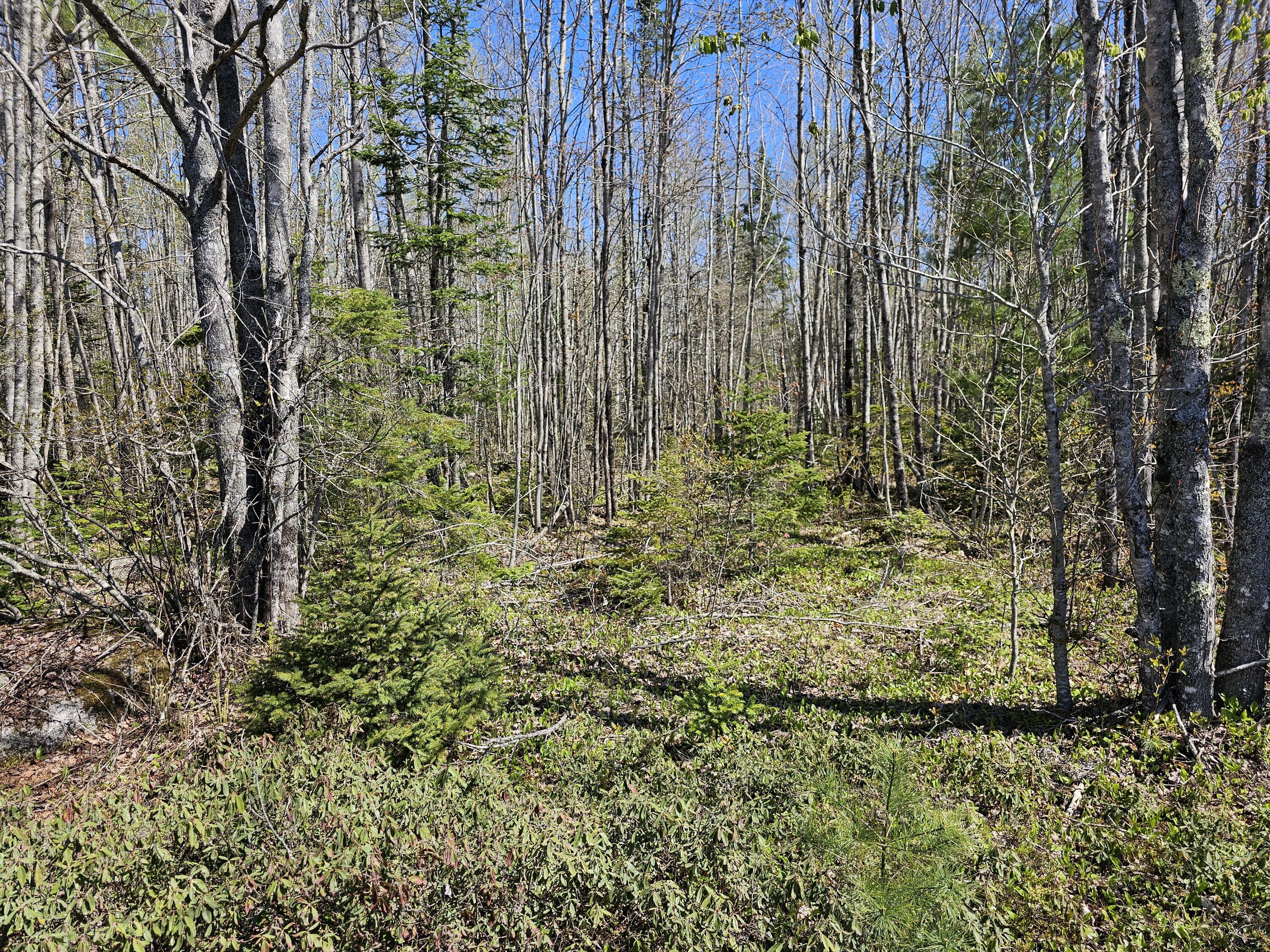 0 Georges Pond Road Franklin, ME 04634 - Photo 15 of 43 20250513_101212