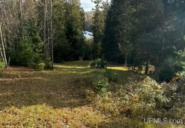 $49,900 | Tbd Peterson Drive, Iron Mountain, MI 49801