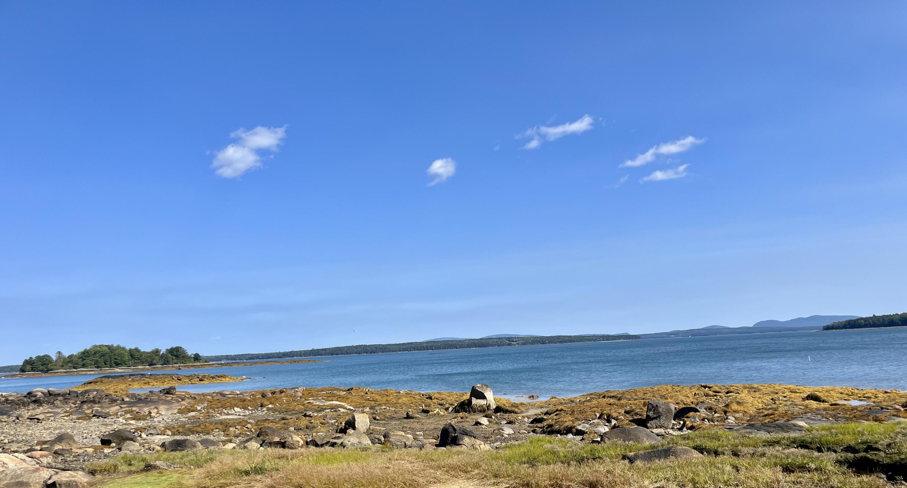 191 Woods Point Road Blue Hill, ME 04614 - Photo 3 of 39 IMG_9514