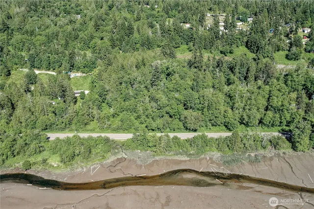 a view of a garden with a tree